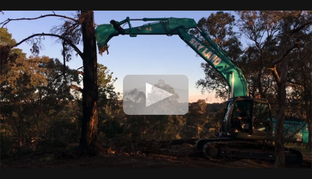 Image Kobelco Sk210Lc-8 Knocking Down Trees 1 - Kobelco Excavators